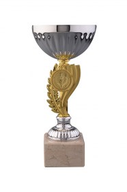 Cupe Sportive CE 20